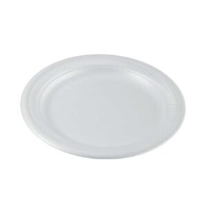 Disposable White Foam Plates 10inch